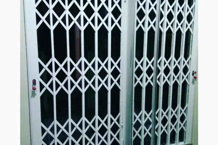 Розсувні грати Prof на вхідні двері- фото № 1