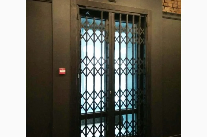 Банківські розсувні грати Prof- фото № 1