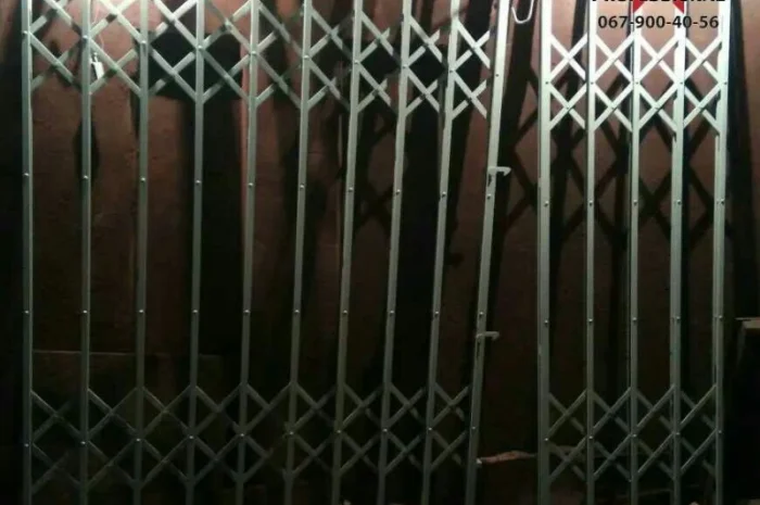 Розсувні решітки Боствиг Prof для ліфтів- фото № 4