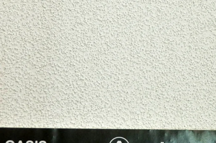 Потолок Армстронг, плити Байкал у продажу- фото № 3