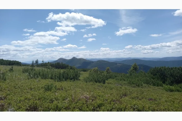 Від болів у спині, суглобах, м'язах мазі і гелі- фото № 9