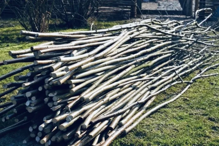 Купую ліщину та рулонні огорожі з ліщини гуртом- фото № 3