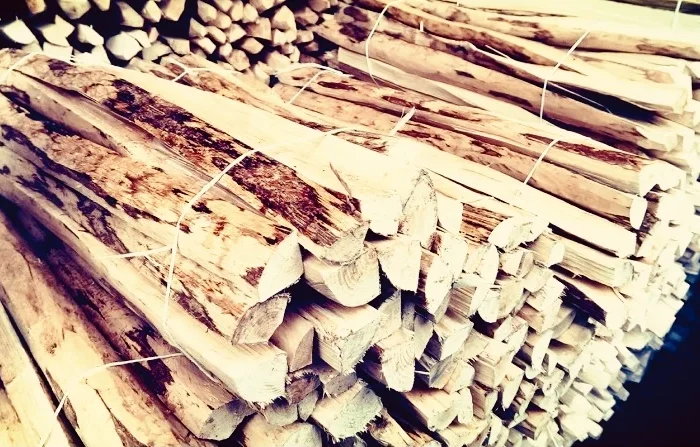 Купую ліщину та рулонні огорожі з ліщини гуртом- фото № 4