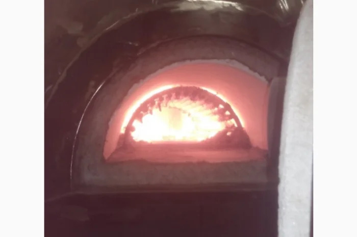 Утилизатор всех видов отходов (бытовых, медицински, производственных)- фото № 3