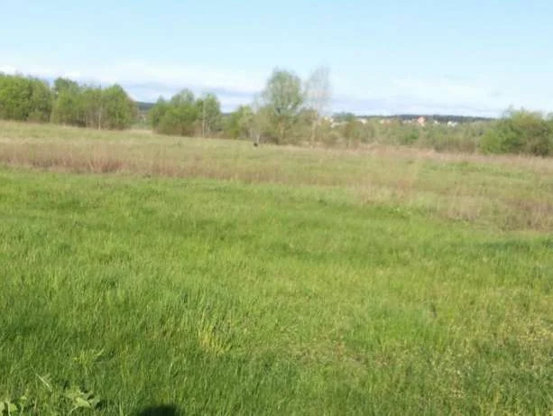 Продажа земли Иванковский р-он Киевская обл- фото № 1