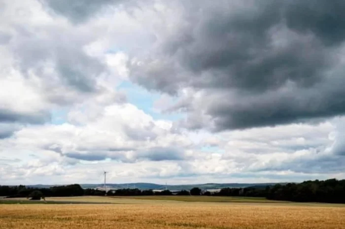 Куплю агрокомпанію, фермерське господарство Вінницька область- фото № 2