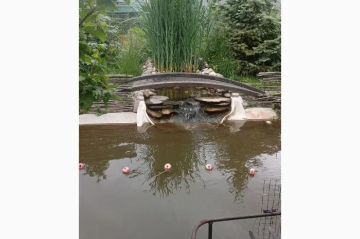 Будівництво різного типу водойм з подальшим зарибленням осетровими та бслуговуванням- фото № 1