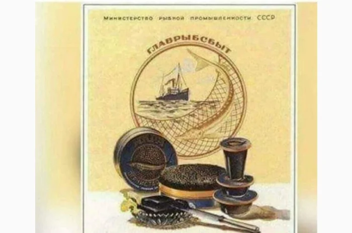 Будівництво різного типу водойм з подальшим зарибленням осетровими та бслуговуванням- фото № 2