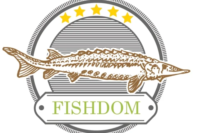 Будівництво різного типу водойм з подальшим зарибленням осетровими та бслуговуванням- фото № 3