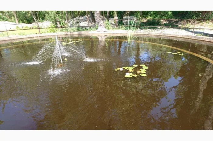 Будівництво різного типу водойм з подальшим зарибленням осетровими та бслуговуванням- фото № 5