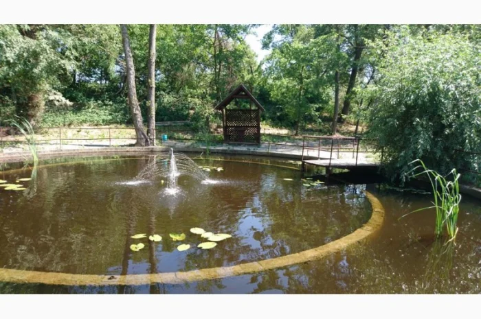 Будівництво різного типу водойм з подальшим зарибленням осетровими та бслуговуванням- фото № 6