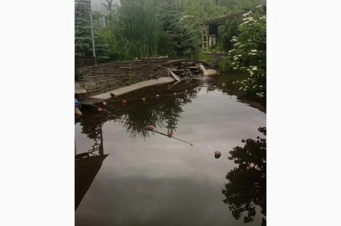 Будівництво різного типу водойм з подальшим зарибленням осетровими та бслуговуванням- фото № 9