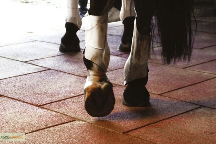 Резиновая плитка для Конюшен (денников)- фото № 2