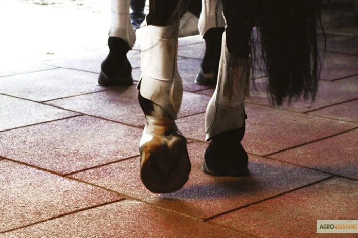 Резиновые дорожки для дачи и загородного дома- фото № 1