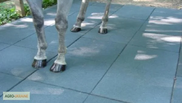 Резиновые дорожки для дачи и загородного дома- фото № 2