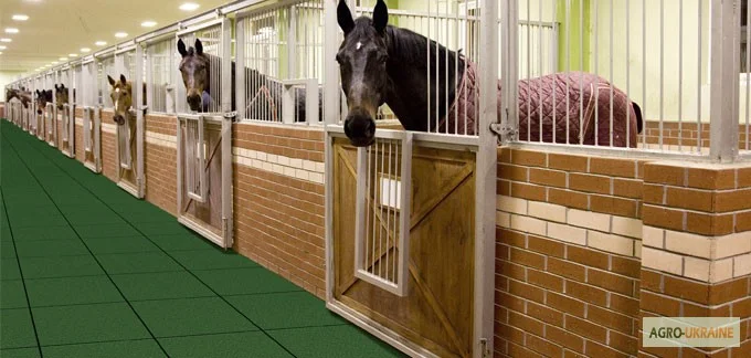 Резиновые дорожки для дачи и загородного дома- фото № 3