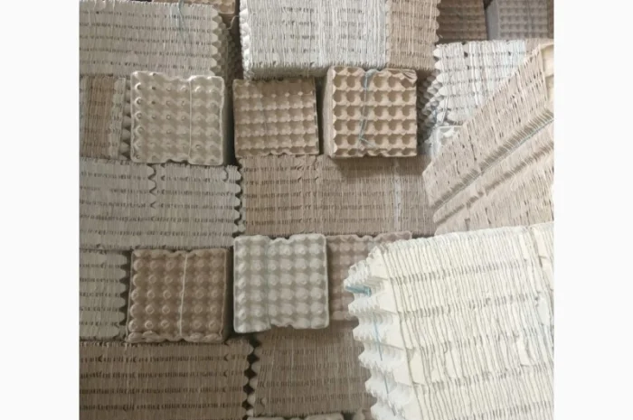 Лоток яичный прокладка бугорчатая- фото № 1