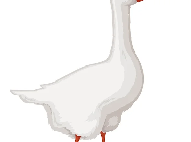 Куплю пір'я- фото № 1