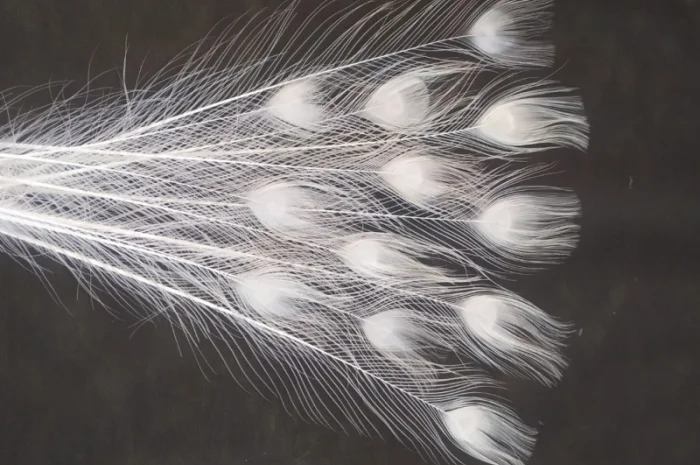 Перо белого павлина- фото № 2