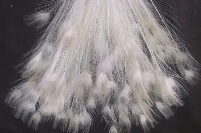 Перо белого павлина- фото № 4