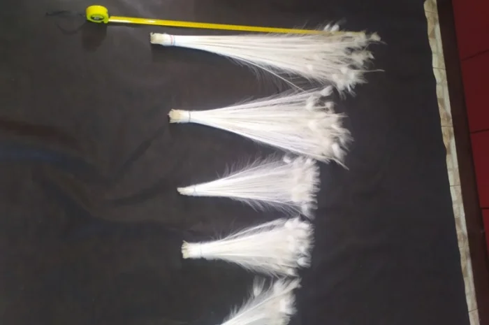 Перо белого павлина- фото № 5