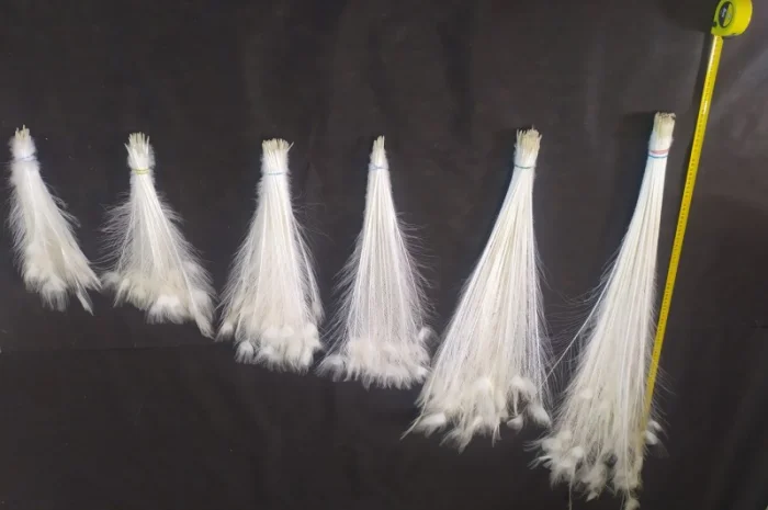 Перо белого павлина- фото № 6