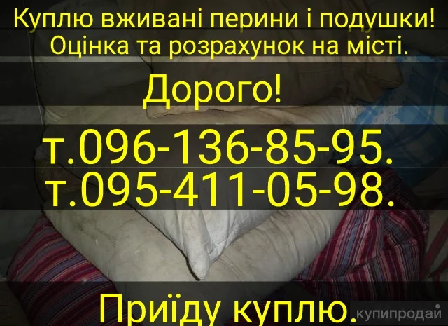 Купуємо б/у перья та свіже утине і гусине- фото № 1