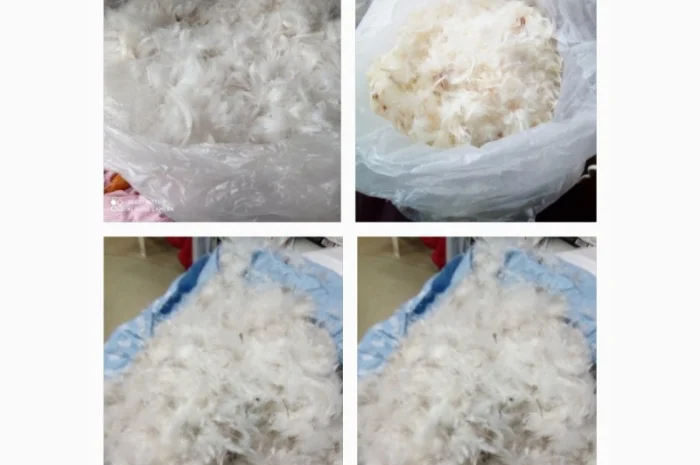 Закуповуємо пір'я гусяче, качине, старі подушки, перини.Украіна- фото № 1