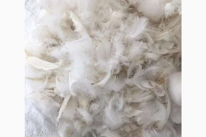 Продам біле свіже гусяче пух-перо з власних гусей- фото № 2