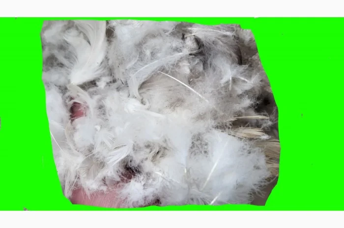 Кплю пір' я, беу перини подуш- фото № 1