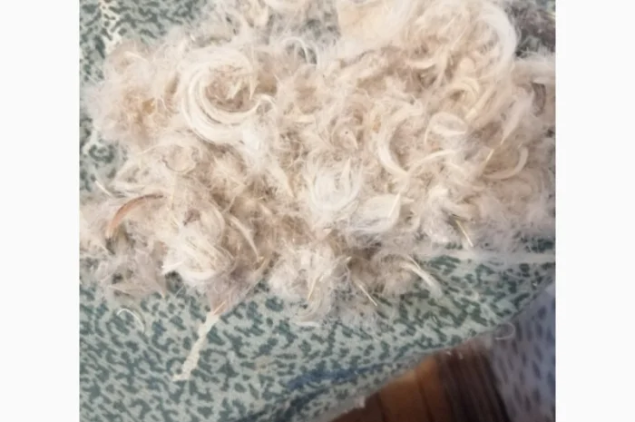 Пройом пір'я, подушки перини- фото № 1