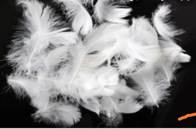 Пірья, подушки, перини- фото № 1