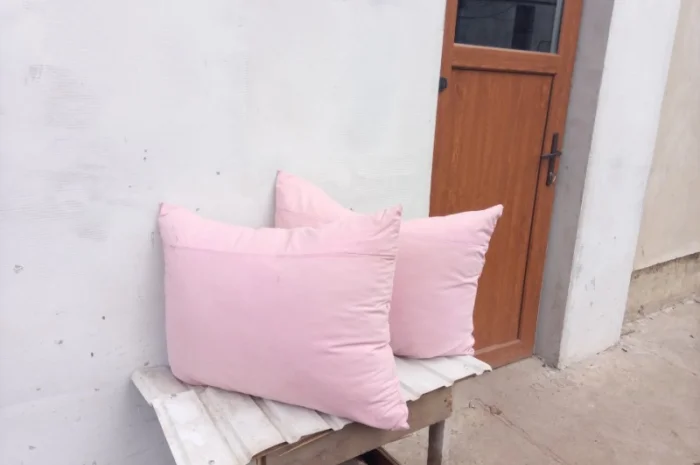 Купуємо пір'я- фото № 1