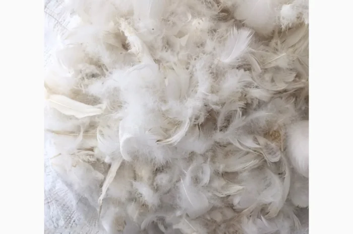 Продаём пух перо- фото № 1