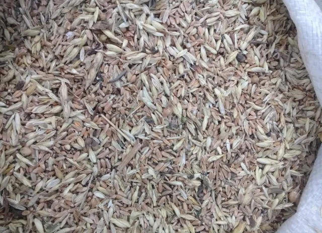 Куплю зерноотходы Украина- фото № 1