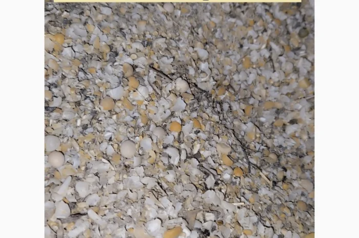 Зерновідходи горохові- фото № 4