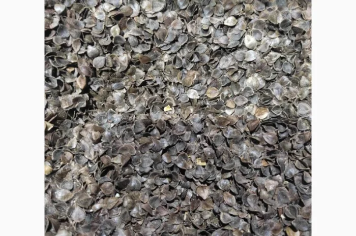 Шелуха гречихи на продажу- фото № 1