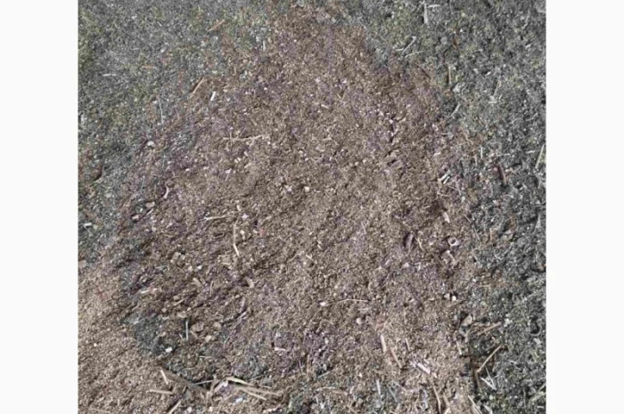 Продаються зерновідходи- фото № 1