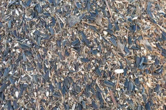 Закупаем отходы подсолнечника деловые- фото № 1