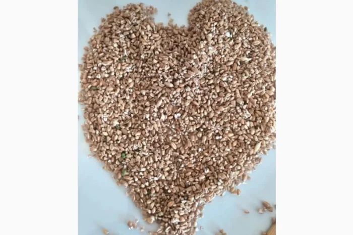 Зерносуміш з млина- фото № 1