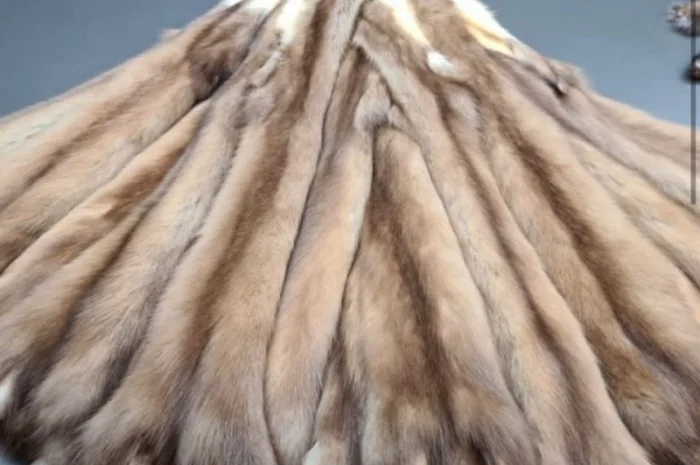 Купуємо купою шкіри куниць- фото № 1