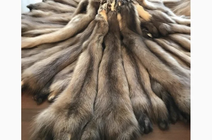 Куплю шкури куниць- фото № 1