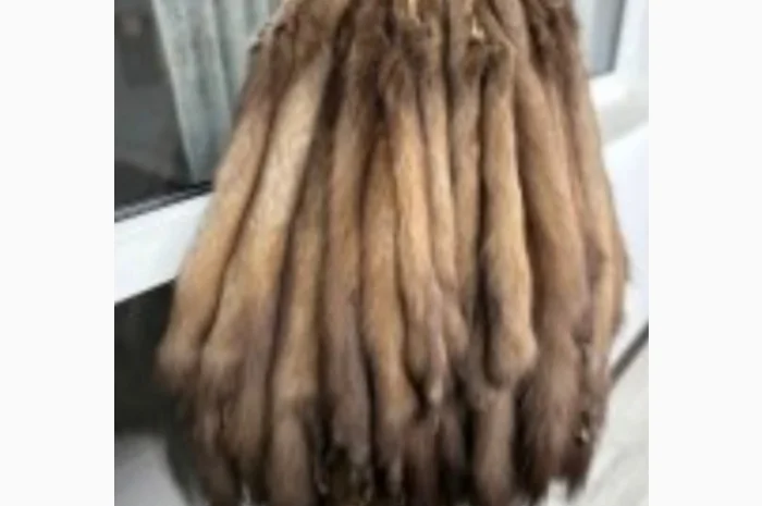 Най дороще куплю шкури куниць- фото № 1