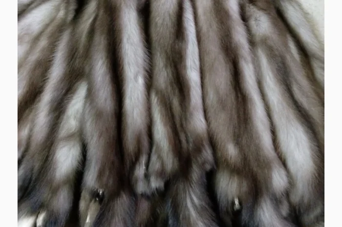 Купуємо шкури куниці та інших тварин- фото № 1