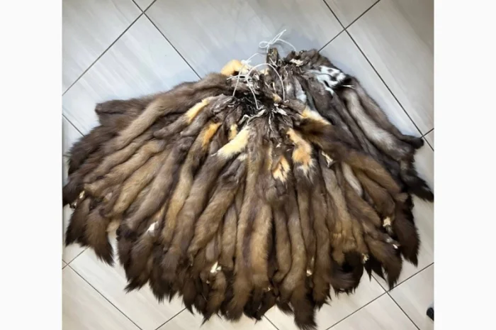 Продаж хутра куниці в наявності- фото № 1