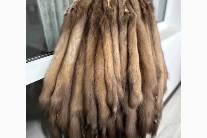 Купую шкури куниці- фото № 1