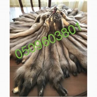 Куниця вичинена- фото № 1