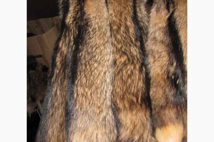 Продам шкуры енота- фото № 1