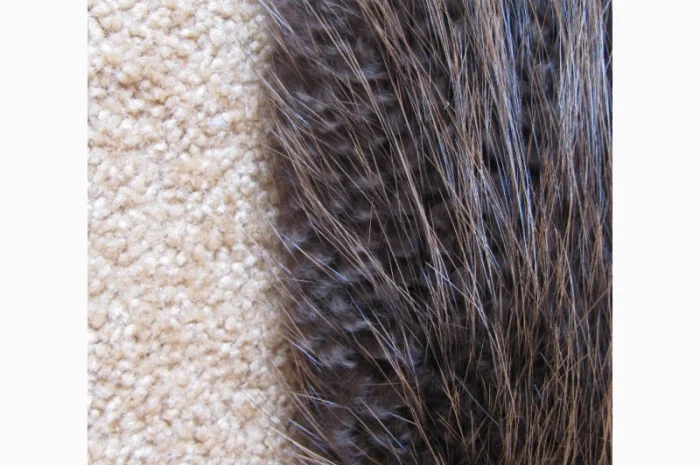 Продам шкуры бобра- фото № 1