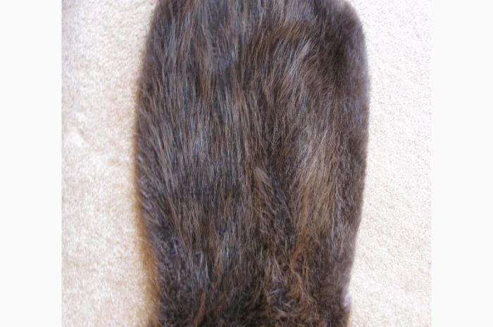 Продам шкуры бобра- фото № 2